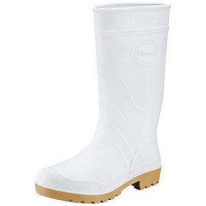BOTA SANITARIA DITTA